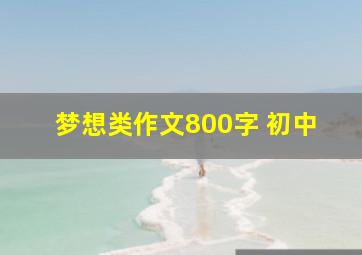 梦想类作文800字 初中